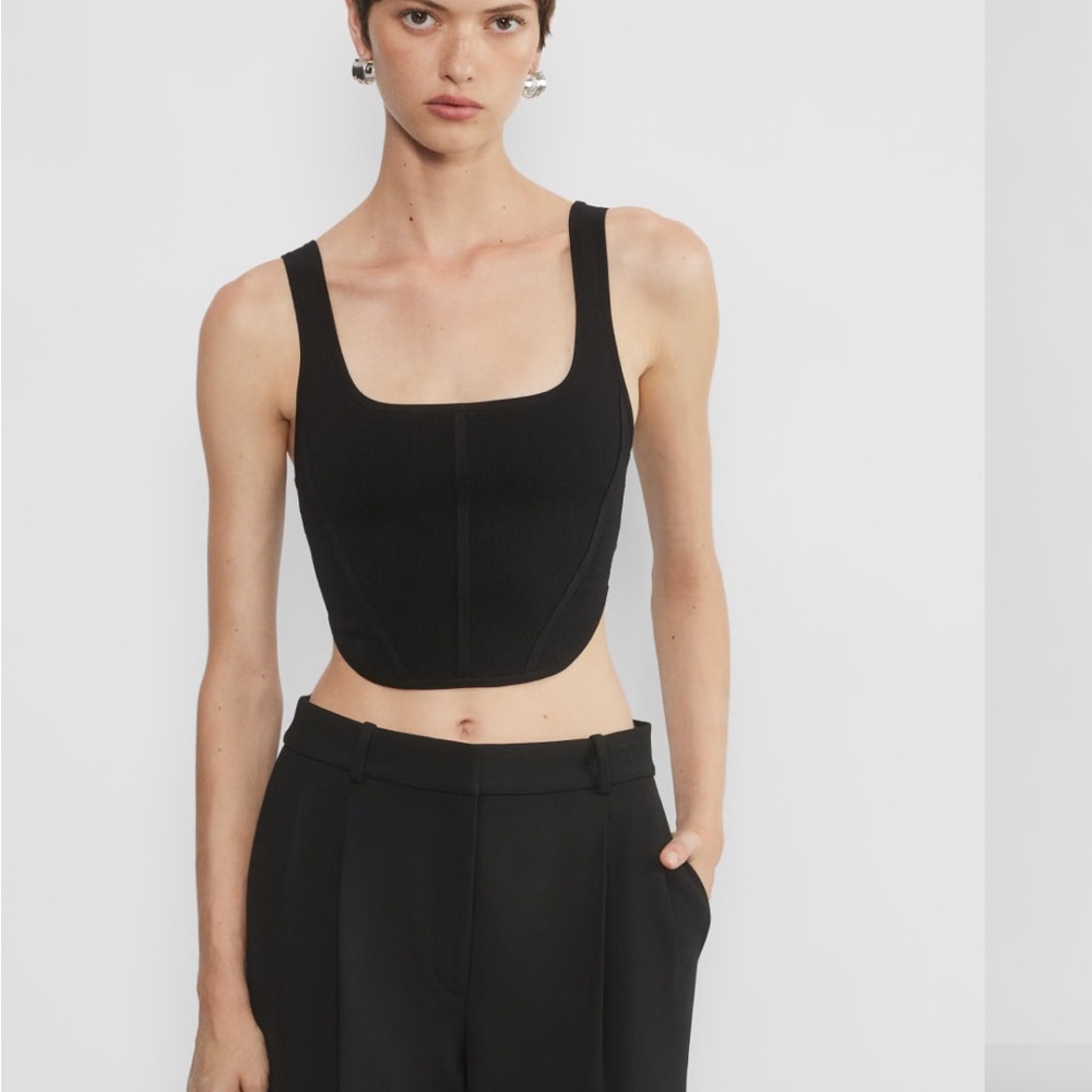 SOLD Sculpt Knit Bustier Tank Babaton Aritzia Small
